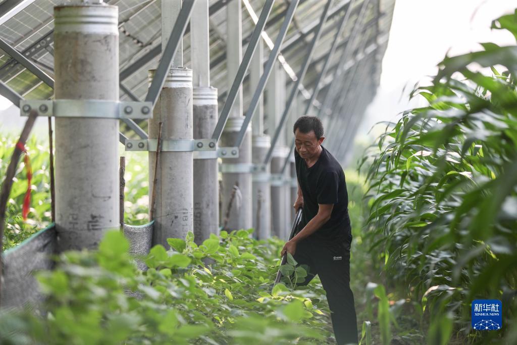 其乐老虎机游戏平台
